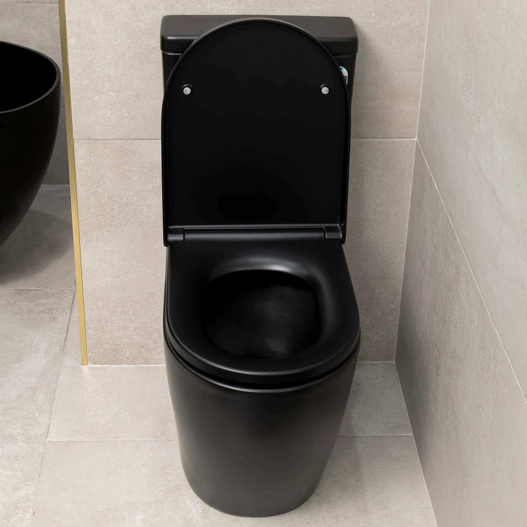Hysett Q Back to Wall Toilet Suite, Matte Black - Image 5