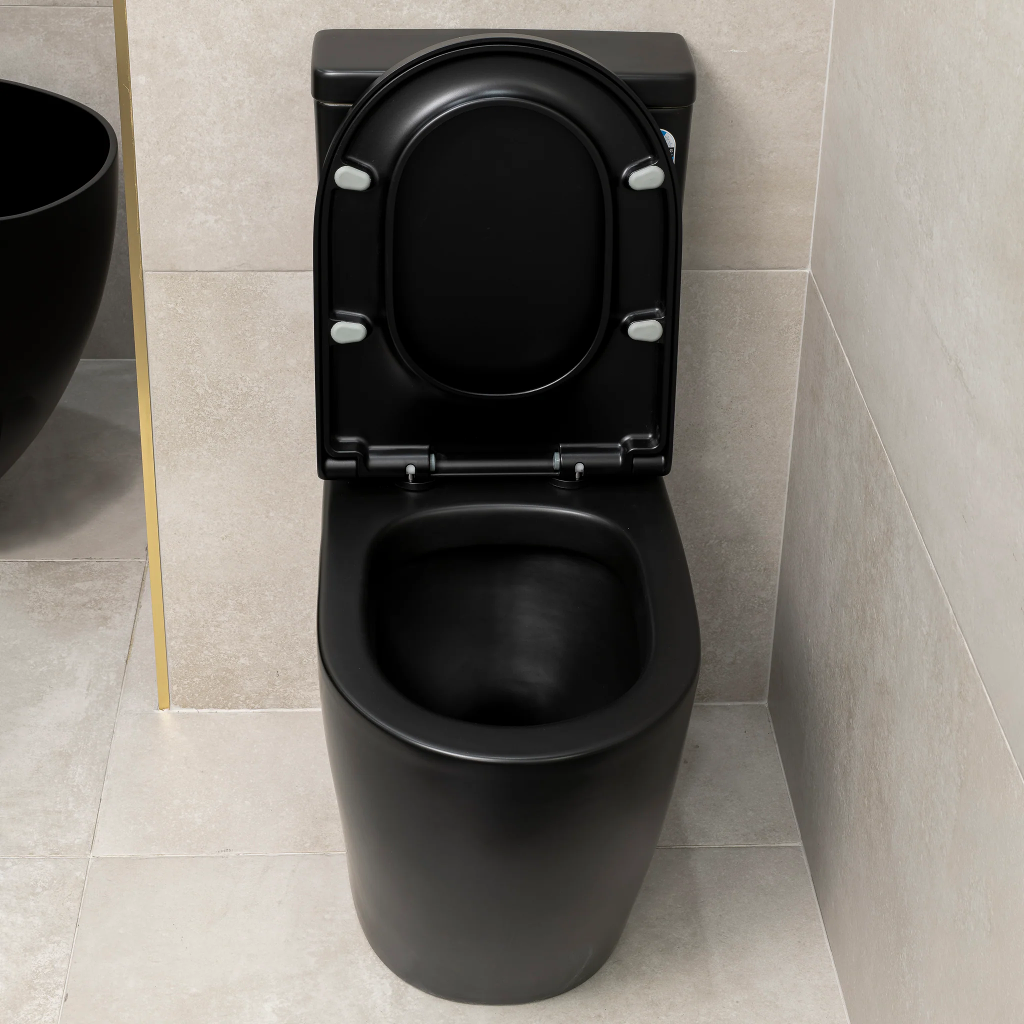 Hysett Q Back to Wall Toilet Suite, Matte Black - Image 8