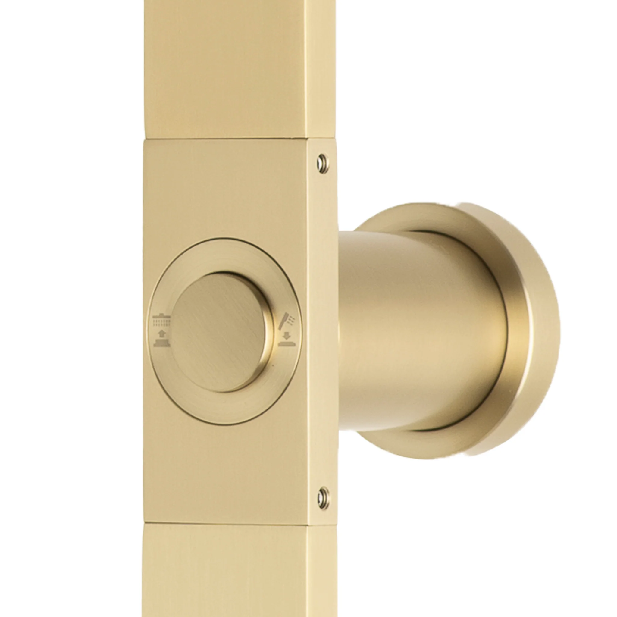 Jena Square Twin Shower System with Adjustable Rail, Push Button Diverter and 250mm Head, Brushed Brass (Gold) - Image 3