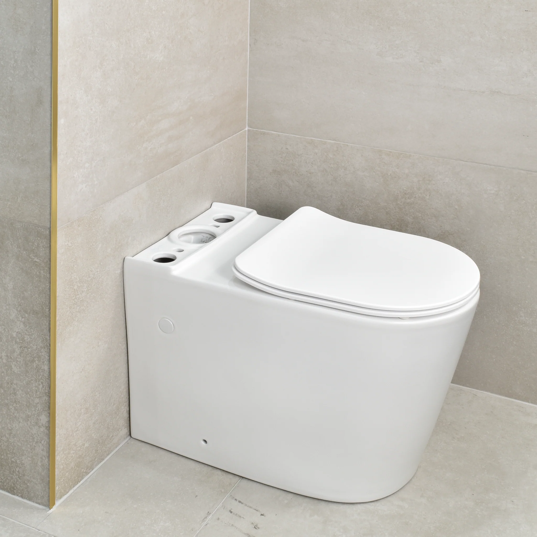 Tiffalo Rimless Back to Wall Toilet Suite, Matte White - Image 10
