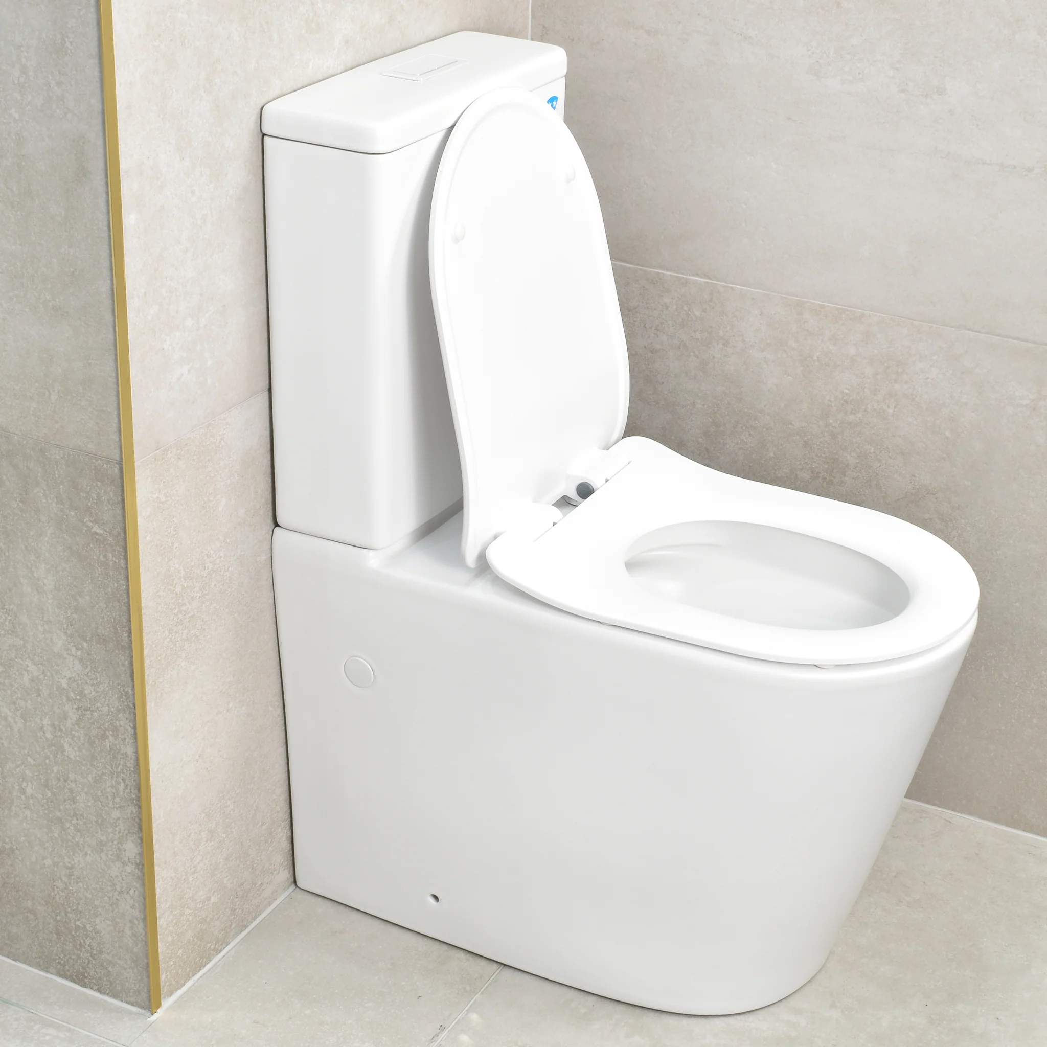 Tiffalo Rimless Back to Wall Toilet Suite, Matte White - Image 3