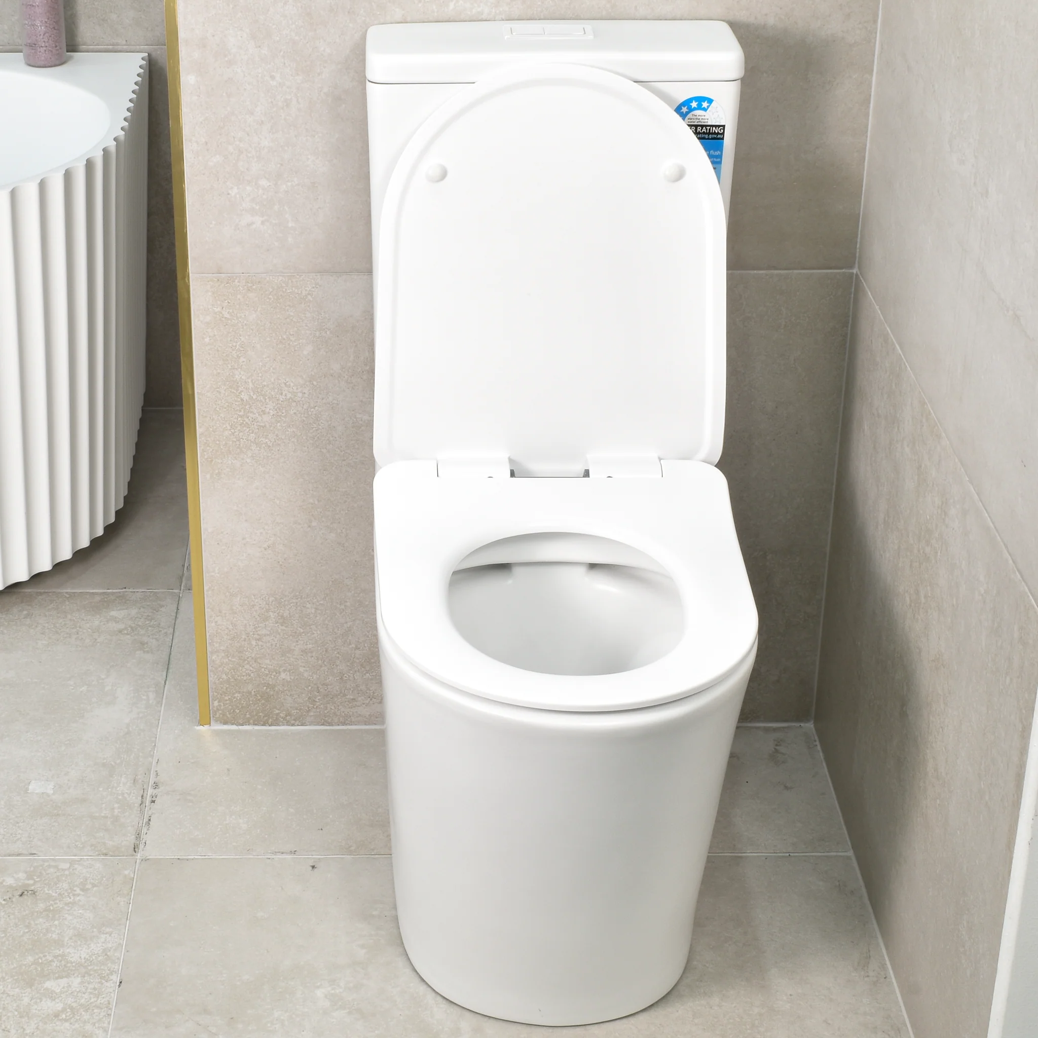 Tiffalo Rimless Back to Wall Toilet Suite, Matte White - Image 4