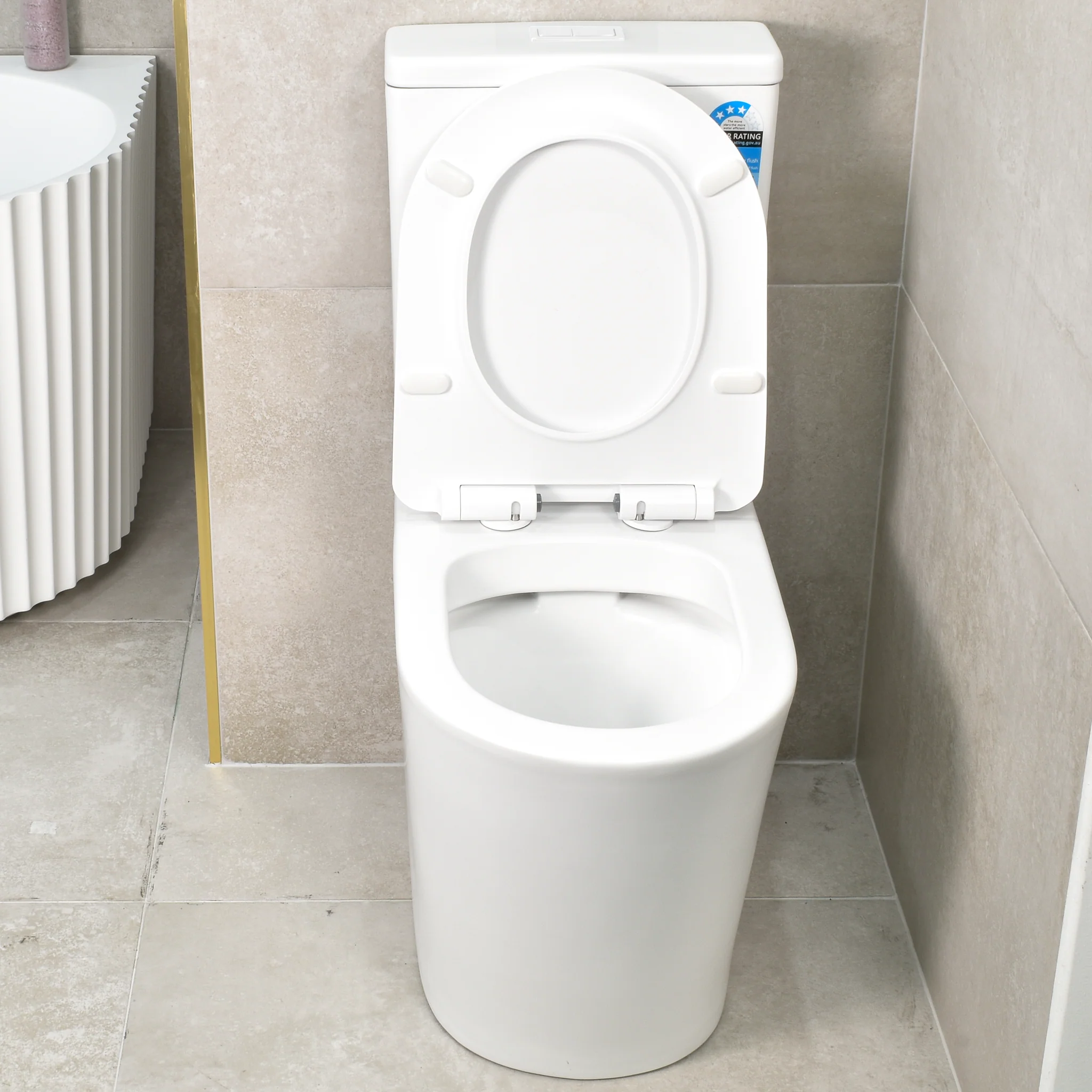 Tiffalo Rimless Back to Wall Toilet Suite, Matte White - Image 6
